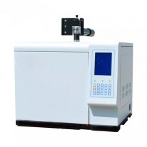 Gas Chromatographs